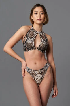 Shark Polewear Cherry Top - Snake -Rad Store 09.12.20 06730 1466a92a f044 470b a0a6 6e844d7ec7e6 1