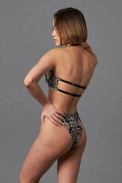 Shark Polewear Cherry Top - Snake -Rad Store 09.12.20 06737 a02e58cb d41e 43a7 91e5 f456eec3af51 1