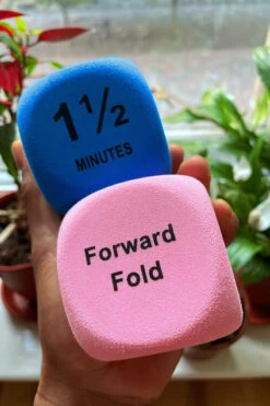 The Enviro Co. Pole Dice - Flexibility 12 The Enviro Co. Pole Dice - Flexibility -Rad Store IMG 1878