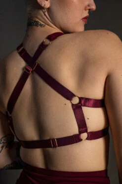 Tatiana Activewear Tokio Top - Wine -Rad Store TatianaActive TokioWineRedBurgundyHighWaistedPoleWearDancingSet 5215