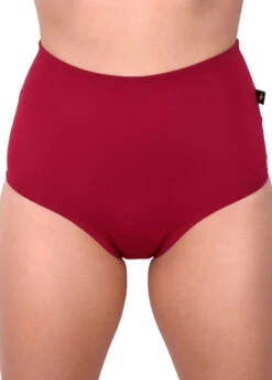 Cleo The Hurricane Essential High Waisted Shorts - Merlot -Rad Store ess hw mer3 1
