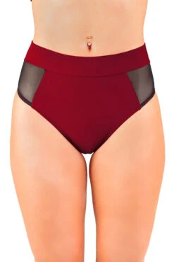 Dragonfly Molly Shorts - Burgundy Mesh -Rad Store msr1