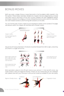 Spin City The Ultimate Silks Bible -Rad Store slice4