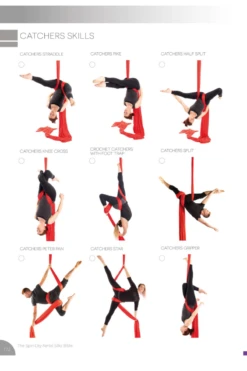 Spin City The Ultimate Silks Bible -Rad Store slice6