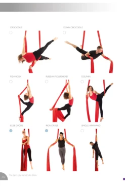 Spin City The Ultimate Silks Bible -Rad Store slice7